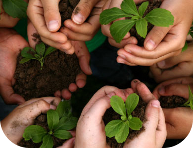 kids planting trees